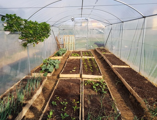 Invernadero Tunel Profesional 3,5 x 8 metros